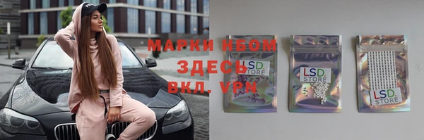 спиды Бородино