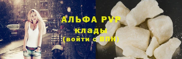 спиды Бородино