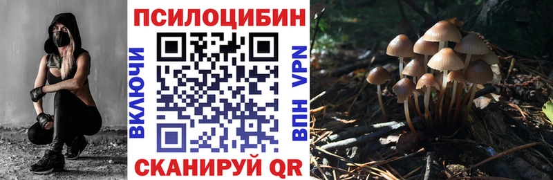 мориарти как зайти  omg зеркало  Подольск  Псилоцибиновые грибы Cubensis 